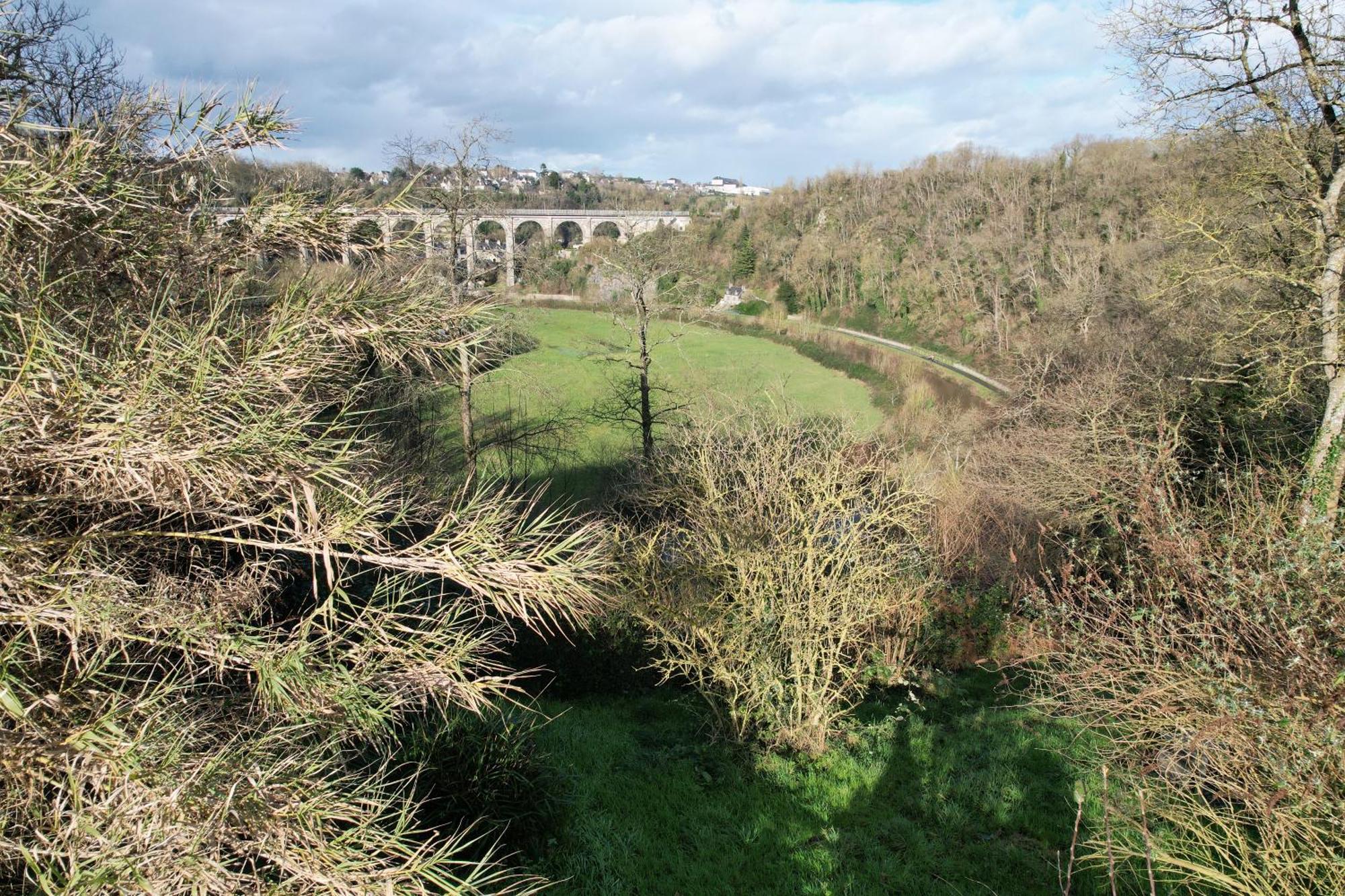 O Bois Dormant- Studio Vue Rance River Et Viaduc De Dinan Lanvallay Екстериор снимка