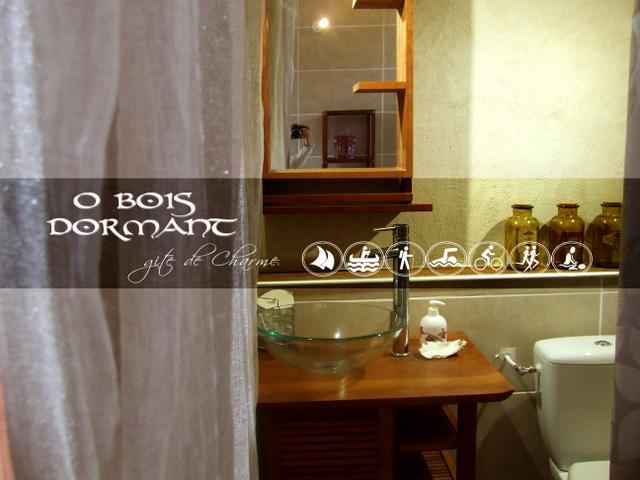 O Bois Dormant- Studio Vue Rance River Et Viaduc De Dinan Lanvallay Екстериор снимка